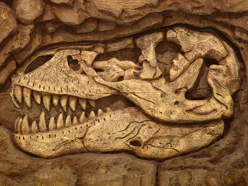 Paleontological Puzzle: