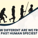Different Human Species